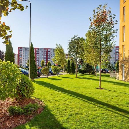 Apartment Richy Braşov Eksteriør bilde